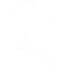 White heart icon