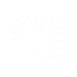White Large intestine icon