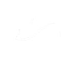 White pancreas icon